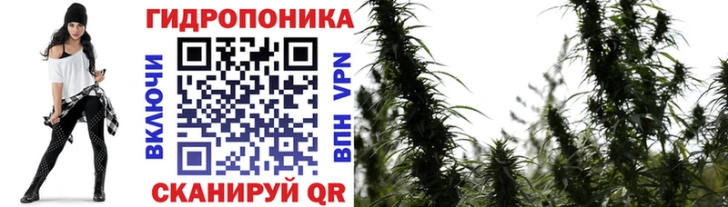 Купить где  Прохладный  МАРИХУАНА VHQ 